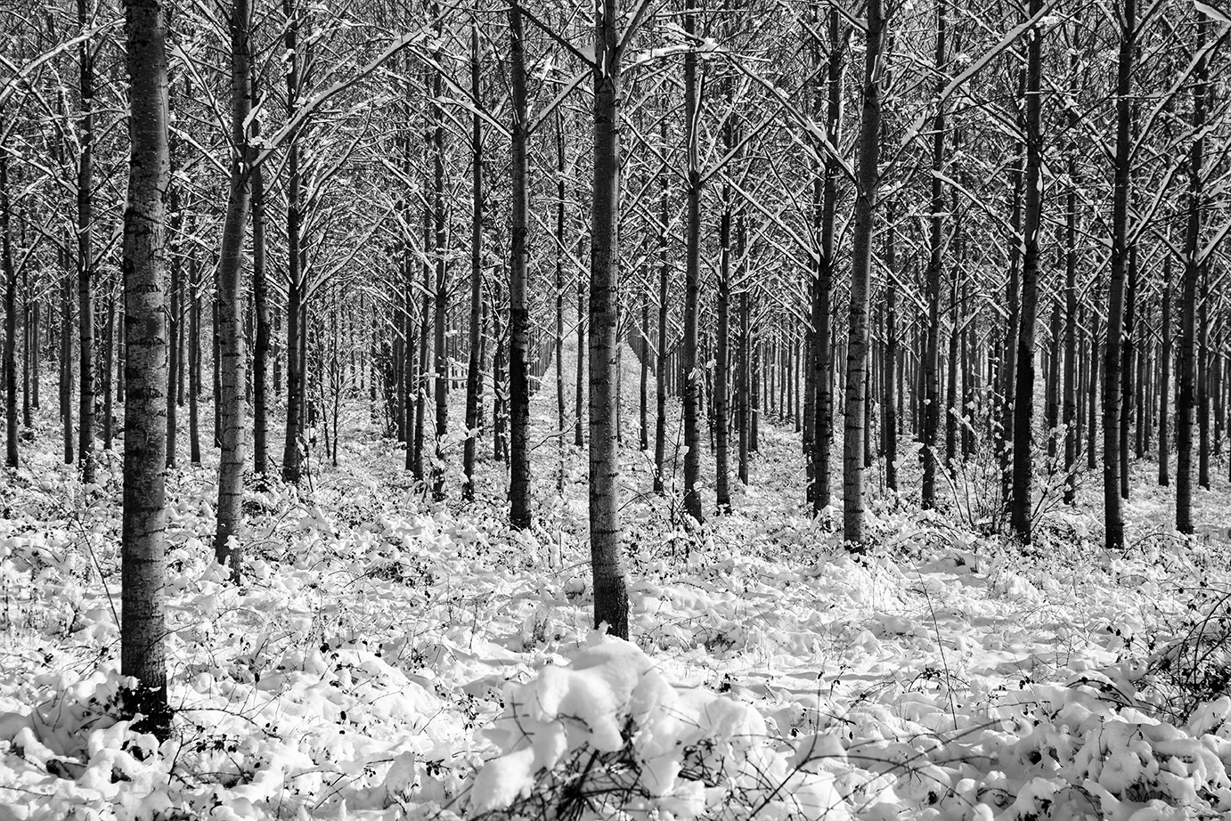 bar rencontre la rumeur
